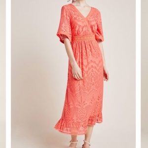 Anthropologie x FARM RIO Devore maxi dress XXSP